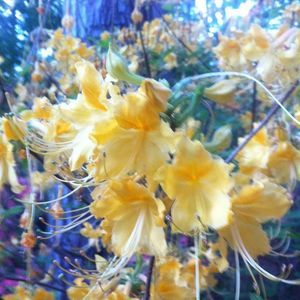 Meet your Posher, Stacey